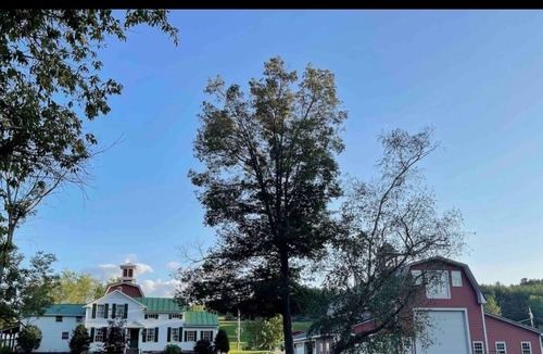 Gallupville House | 2 Bedroom getaway featuring Schoharie’s beauty