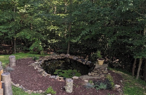 Leadsville House | 2-bedroom house that sleeps 6 in charming Elkins, WV