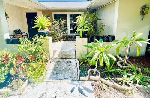 Tarpon Springs House | 2 King bed house with private POOL