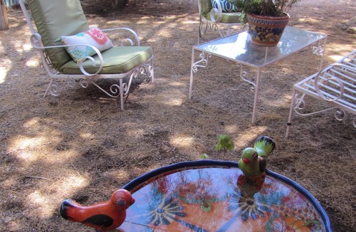 Rincon Heights House | 3 Blocks To Campus, Short Walk To 4th Ave, Downtown Tucson