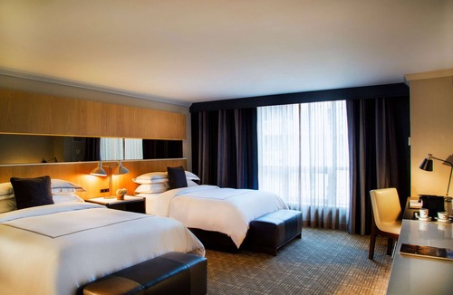 Downtown Toronto Hotel | 3 Spacious Rooms w/Charming Decor & City Views – Pet-Friendly Central Toronto