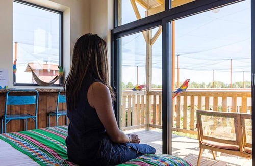 Crecy-la-Chapelle Cabin | 35 m² Lodge ∙ 6 guests