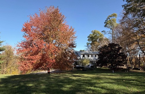 Ulster Park House | 4BR house with hot tub: stunning Hudson Valley views under the tree canopy