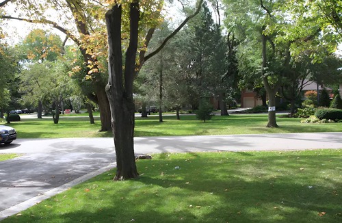 Etobicoke House | 5 BR Large Family Home. Big yard, POOL!