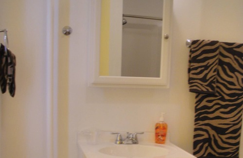 Harrisburg Apartment | A LARGE FURNISHED Guest Room W Bath. NO SHARES. 10 minutes to Capitol.