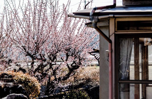 Mihara House | A nostalgic space Relax and unwind in a fully equipped entirehouse rental/Mihara Hiroshima