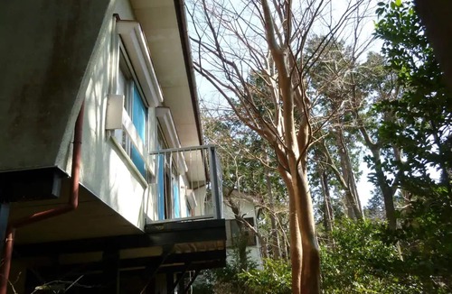 Higashiizu House | A rental villa with a BBQ and freeflowing hot sp/Kamo-gun Shizuoka