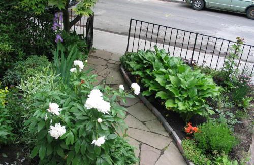 Cabbagetown South House | A Seaton Dream