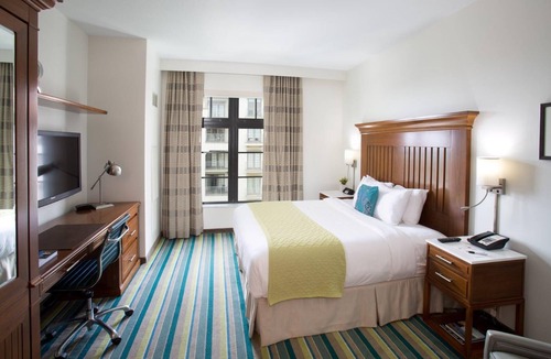 Winter Park Hotel | ADA Compliant Room - Contemporary Furnishings - Rooftop Pool - Close to Parks