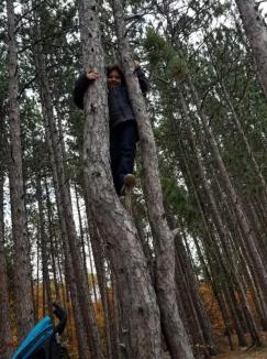 South Algonquin Resort | All Star Resort