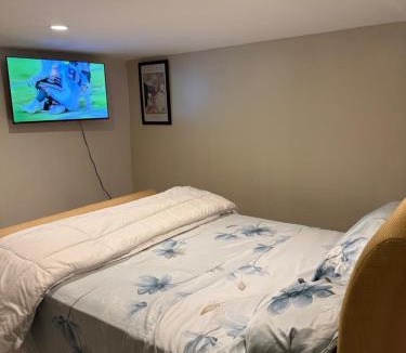 Uniondale House | Amazing 2 bedrooms entire Basement apartment with living room
