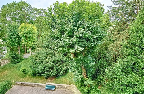 Sevres Apartment | Appartement Centre-ville Proche Paris et Versailles