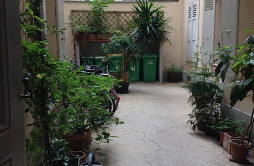 Jardin des plantes Apartment | Appartement de Charme, Refait à Neuf, Calme et Lumineux - Jardin des Plantes