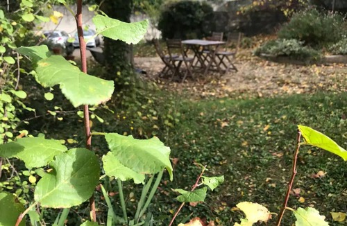 Issy-les-Moulineaux Apartment | Appartement 120 m² Lumineux, Jardin, Parking Gratuit - Idéal Familles/groupes !