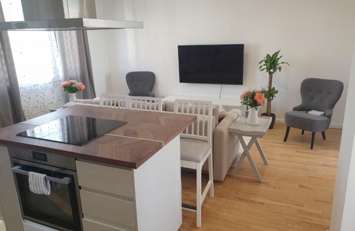 Champigny-sur-Marne Apartment | Appartement spacieux et cosy