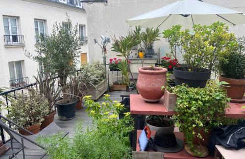 Strasbourg -Saint-Denis Apartment | Aux Terrasses de la Lune