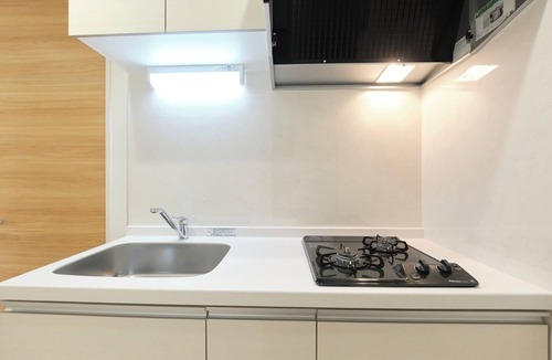 Shinkoiwa Apartment | B 9 minutes walk from ShinKoiwa Station Accomm/Edogawa-ku Tokyo