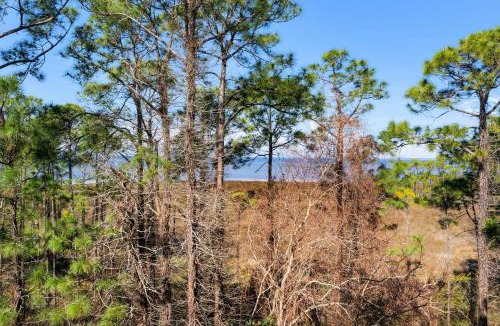 Baytowne Wharf House | Bahia Units 4322 and 4324
