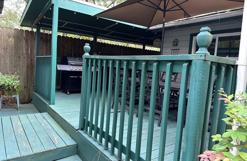 Salt Springs House | Beary Comfortable Cottage in Salt Springs