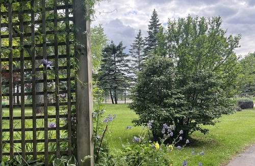 Brampton House | Beautiful Bungalow w/Breathtaking Garden & Open Basement for Family Gatherings!