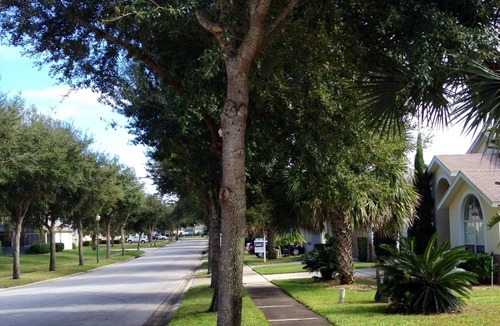 Orange Tree Villa | Beautiful Newly Remodeled Private Home; South-facing Pool-spa; close to Disney