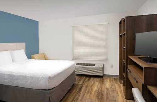 Orlando Apartment | Beautiful Studio apartment (420706) by Houzlet