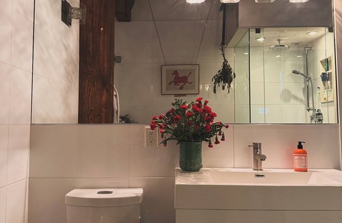 Parkdale Condo | Best original hard loft in town