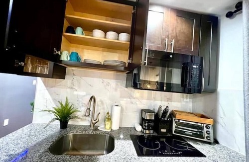 Passyunk Square Apartment | Brand New Modern Home/w Rooftop Downtown Skyview