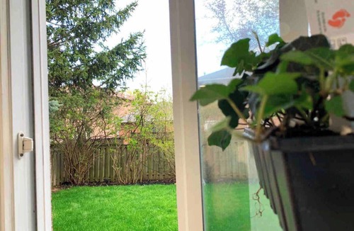 Aurora Apartment | Bright and Modern 2BR Apartment, Adventure-Local Delights Await! Family & Group