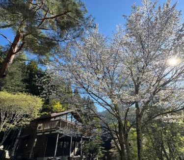 Fujikawaguchiko House | Cabin D 3min walk Lake Saiko remote work BBQ, 5min drive Kawaguchi Lake Mt Fuji view
