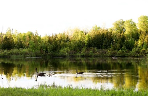 Miller Lake Other | Camping ∙ 1 bedroom ∙ 2 guests