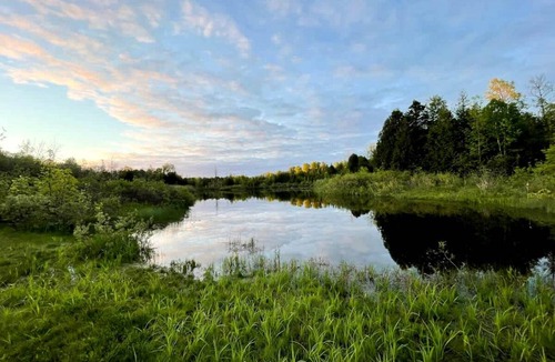 Miller Lake Other | Camping ∙ 1 bedroom ∙ 2 guests