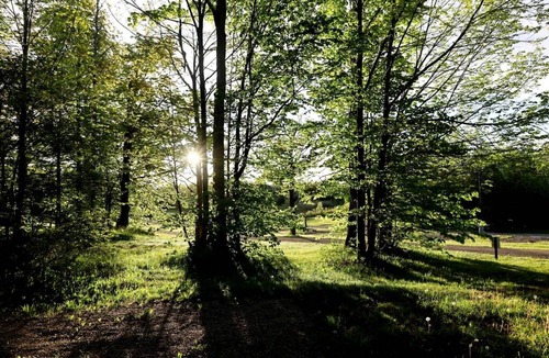 Miller Lake Other | Camping ∙ 1 bedroom ∙ 2 guests