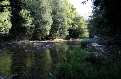 Markdale Other | Camping ∙ 1 bedroom ∙ 6 guests