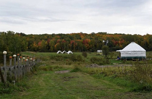 Powassan Other | Camping ∙ 1 bedroom ∙ 2 guests