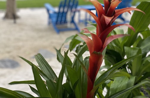 Windermere House | Captains Lake House
