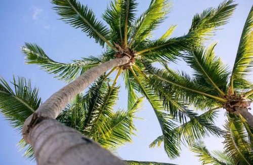 Old Town Resort | Casa Marina Key West, Curio Collection by Hilton