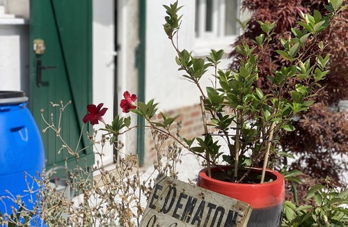 Vaires-sur-Marne House | Charmante Tiny House Proche Paris et Disney
