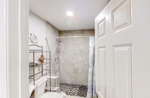 University Apartment | Charming studio Close to Bush Gardens and USF