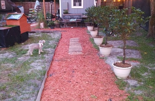 Southwest Orlando House | Charming tiny backyard home in Orlando with WiFi and AC. Only Animal lovers!