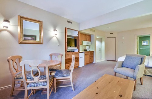 Oro-Medonte Apartment | Classic Spacious Studio Suite!