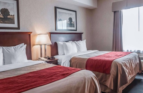 Gateway Hotel | Comfort Inn Mississauga
