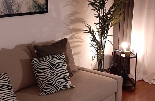 Joinville-le-Pont Apartment | Comfortable T2 apartment, recently renovated, 5 minutes from RER An and the Bois de Vincennes.