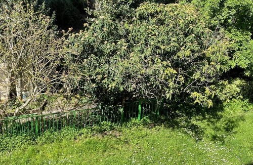 La Courneuve Apartment | Cosy N'est - Spacious apartment with garden just outside Paris.