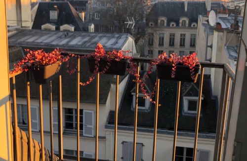 Saint-Gervais Apartment | CosyNestMarais