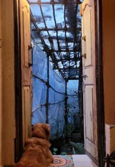 Versova House | Cottage 101