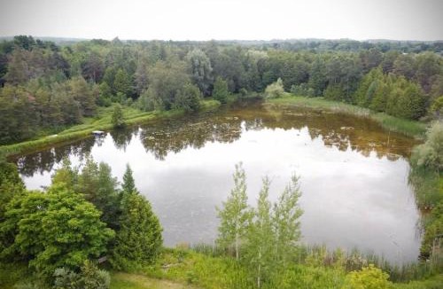 Flesherton House | Cottage Retreat on 11 Acres