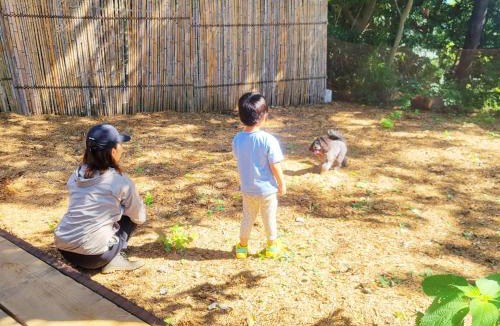 Manazuru Other | Couscous Glamping Manazuru - Ocean View BBQ Stay near Hakone