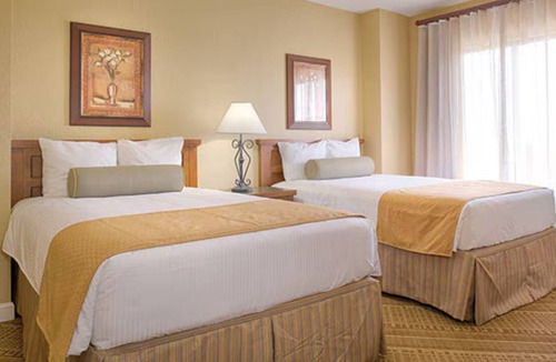 Lake Buena Vista Condo | Cozy 1-bedroom condo in charming Orlando with WiFi, fitness room