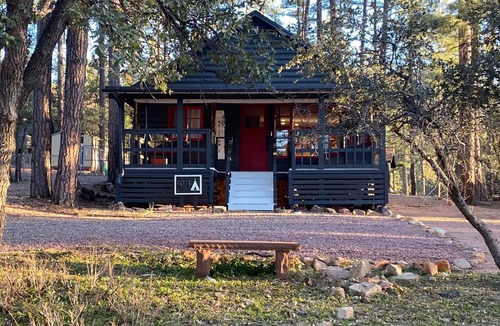 Pine Cabin | Cozy Cabin in the tall Pines! True mountain cabin vibes!